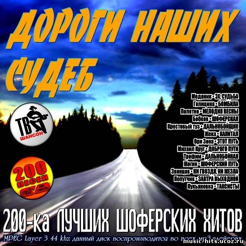 Шансон сборник лучших в дорогу песен слушать. С музыкой в дорогу диск. 213 Дорог альбом. Музыка в дорогу названия. Исполнители в дорогу альбомы.